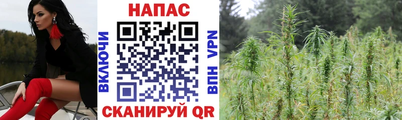 Канабис OG Kush Купить закладки Бор